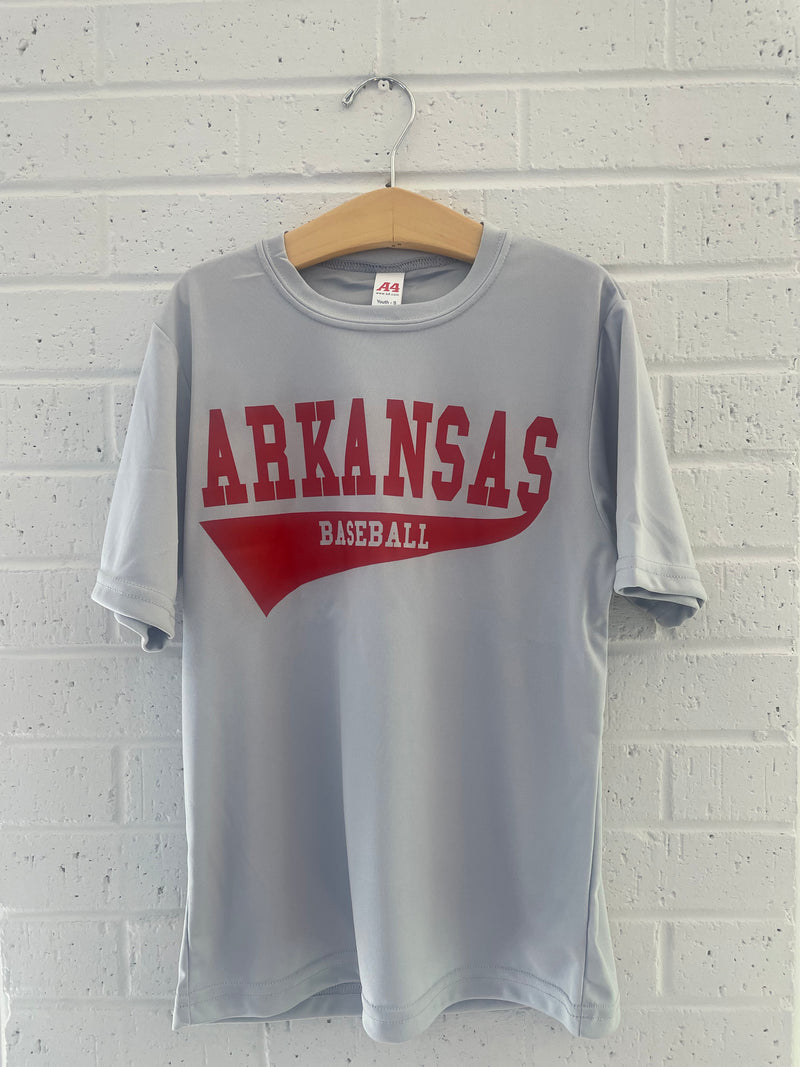 Arkansas Baseball Dry Fit- Silver